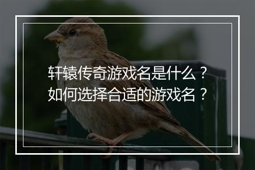轩辕传奇游戏名是什么？如何选择合适的游戏名？