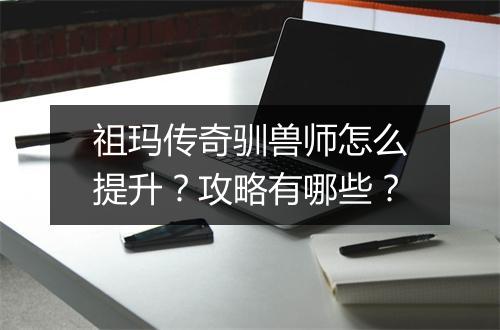 祖玛传奇驯兽师怎么提升？攻略有哪些？