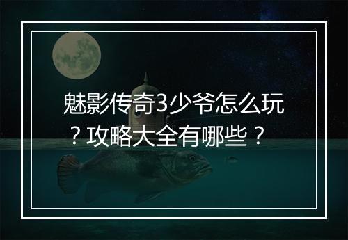魅影传奇3少爷怎么玩？攻略大全有哪些？