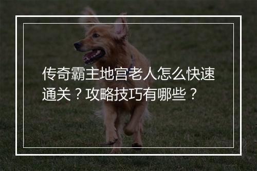 传奇霸主地宫老人怎么快速通关？攻略技巧有哪些？