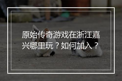 原始传奇游戏在浙江嘉兴哪里玩？如何加入？