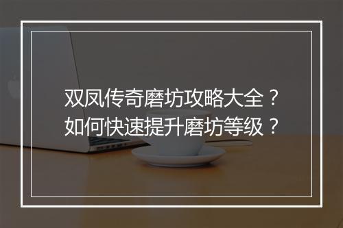 双凤传奇磨坊攻略大全？如何快速提升磨坊等级？