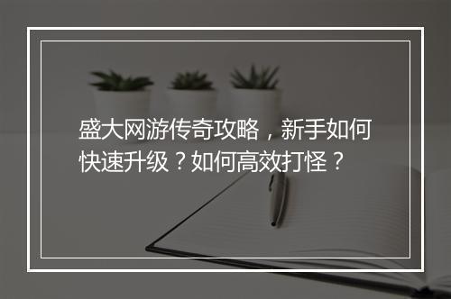 盛大网游传奇攻略，新手如何快速升级？如何高效打怪？