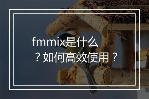 fmmix是什么？如何高效使用？