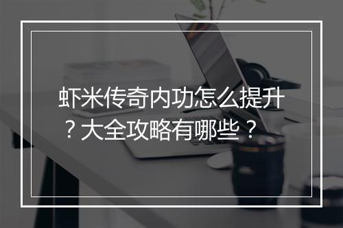 虾米传奇内功怎么提升？大全攻略有哪些？