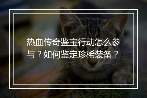 热血传奇鉴宝行动怎么参与？如何鉴定珍稀装备？
