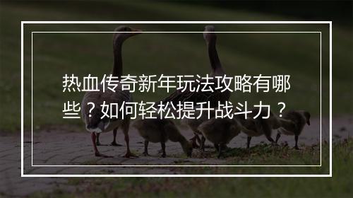 热血传奇新年玩法攻略有哪些？如何轻松提升战斗力？