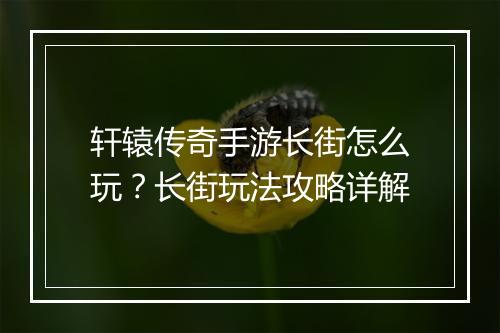轩辕传奇手游长街怎么玩？长街玩法攻略详解