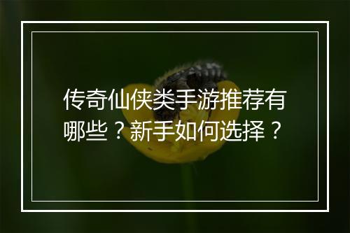 传奇仙侠类手游推荐有哪些？新手如何选择？