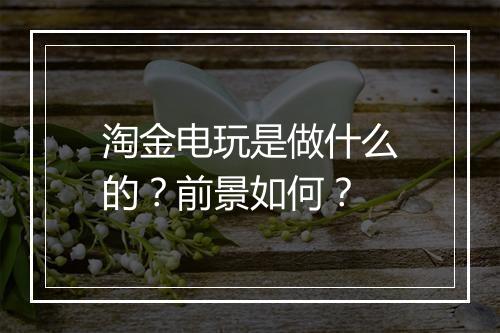 淘金电玩是做什么的？前景如何？