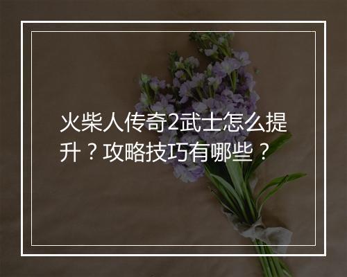 火柴人传奇2武士怎么提升？攻略技巧有哪些？