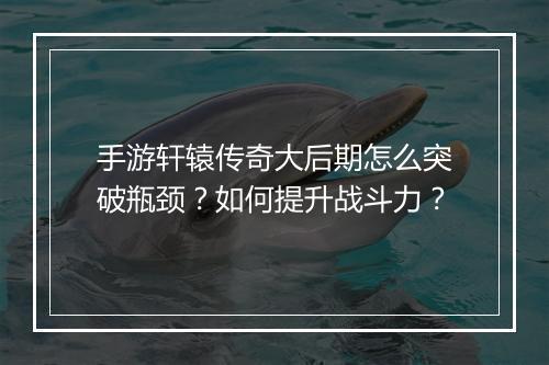 手游轩辕传奇大后期怎么突破瓶颈？如何提升战斗力？