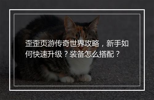 歪歪页游传奇世界攻略，新手如何快速升级？装备怎么搭配？