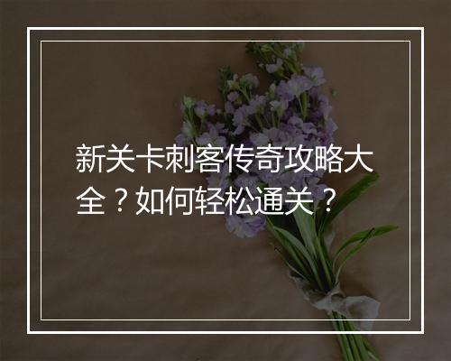 新关卡刺客传奇攻略大全？如何轻松通关？