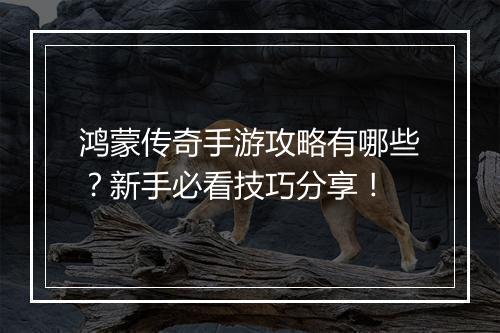 鸿蒙传奇手游攻略有哪些？新手必看技巧分享！