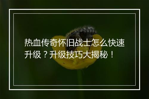 热血传奇怀旧战士怎么快速升级？升级技巧大揭秘！