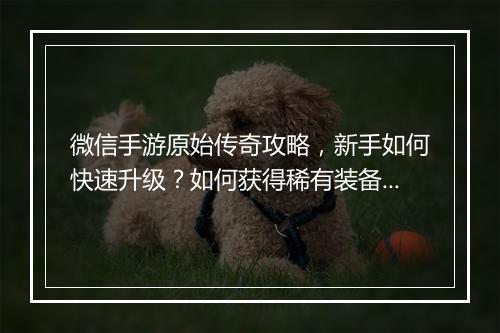 微信手游原始传奇攻略，新手如何快速升级？如何获得稀有装备？