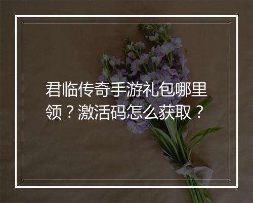 君临传奇手游礼包哪里领？激活码怎么获取？