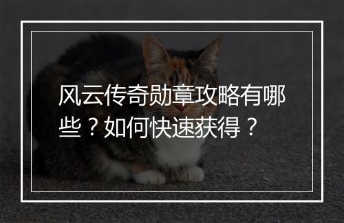 风云传奇勋章攻略有哪些？如何快速获得？