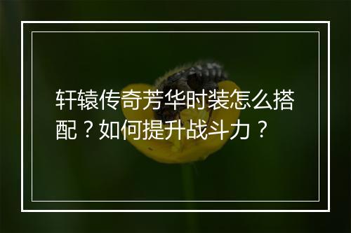 轩辕传奇芳华时装怎么搭配？如何提升战斗力？