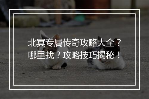 北冥专属传奇攻略大全？哪里找？攻略技巧揭秘！