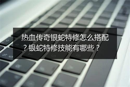 热血传奇银蛇特修怎么搭配？银蛇特修技能有哪些？