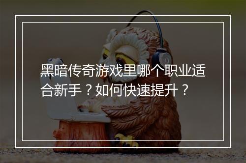 黑暗传奇游戏里哪个职业适合新手？如何快速提升？
