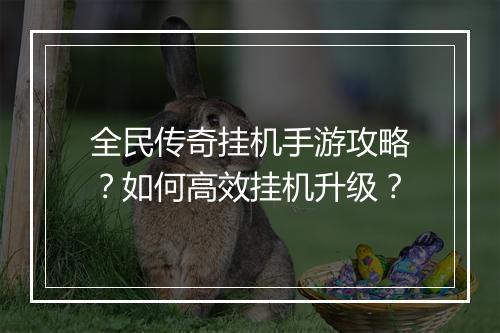 全民传奇挂机手游攻略？如何高效挂机升级？