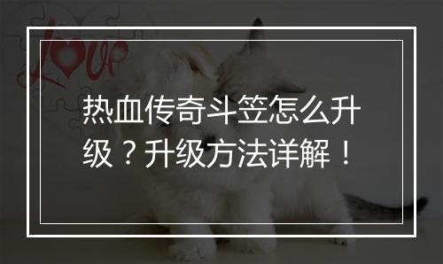 热血传奇斗笠怎么升级？升级方法详解！