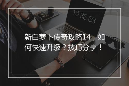 新白萝卜传奇攻略14，如何快速升级？技巧分享！