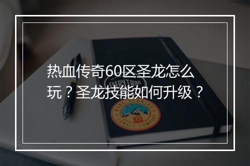 热血传奇60区圣龙怎么玩？圣龙技能如何升级？