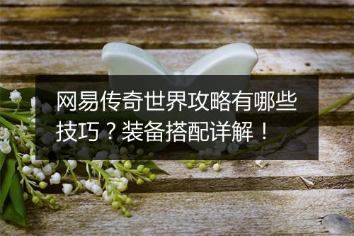 网易传奇世界攻略有哪些技巧？装备搭配详解！