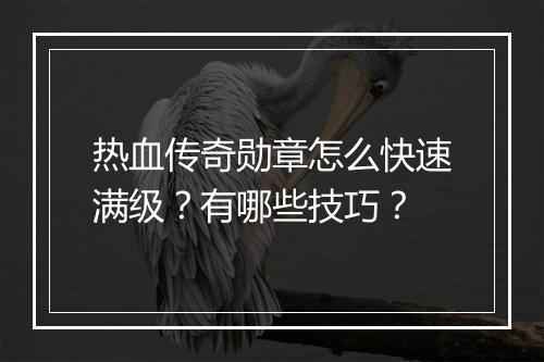 热血传奇勋章怎么快速满级？有哪些技巧？