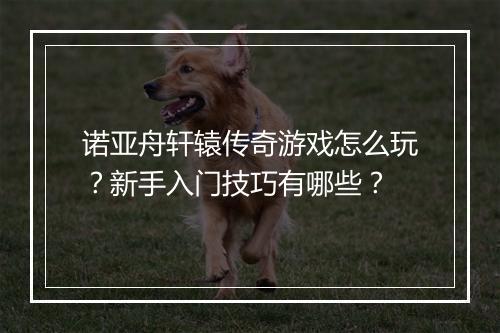 诺亚舟轩辕传奇游戏怎么玩？新手入门技巧有哪些？