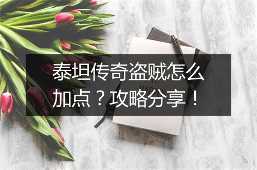 泰坦传奇盗贼怎么加点？攻略分享！
