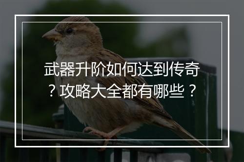武器升阶如何达到传奇？攻略大全都有哪些？