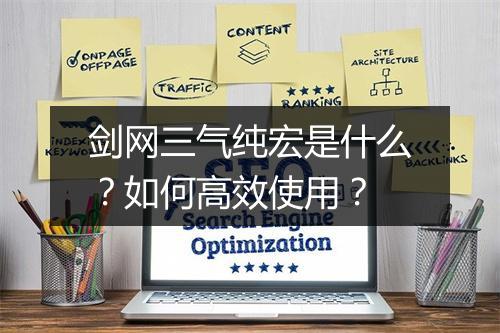 剑网三气纯宏是什么？如何高效使用？