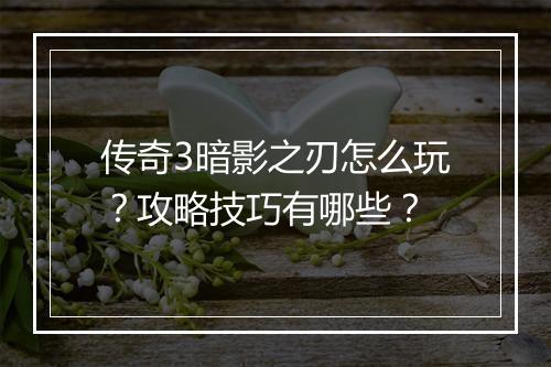 传奇3暗影之刃怎么玩？攻略技巧有哪些？
