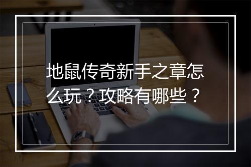 地鼠传奇新手之章怎么玩？攻略有哪些？