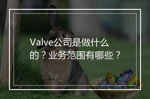 Valve公司是做什么的？业务范围有哪些？