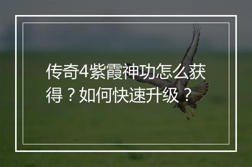 传奇4紫霞神功怎么获得？如何快速升级？