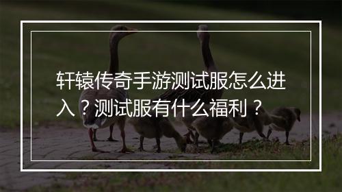 轩辕传奇手游测试服怎么进入？测试服有什么福利？