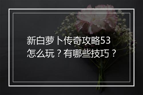 新白萝卜传奇攻略53怎么玩？有哪些技巧？