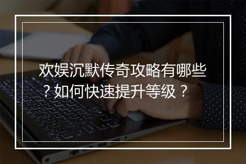 欢娱沉默传奇攻略有哪些？如何快速提升等级？