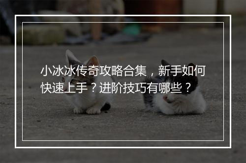 小冰冰传奇攻略合集，新手如何快速上手？进阶技巧有哪些？