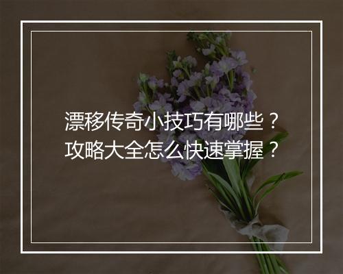 漂移传奇小技巧有哪些？攻略大全怎么快速掌握？
