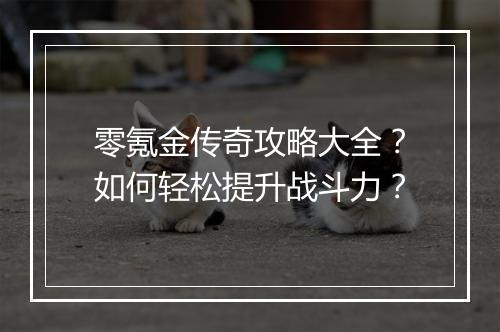 零氪金传奇攻略大全？如何轻松提升战斗力？