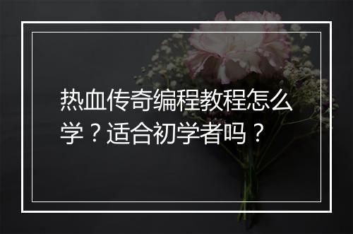 热血传奇编程教程怎么学？适合初学者吗？