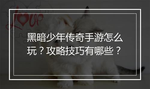 黑暗少年传奇手游怎么玩？攻略技巧有哪些？