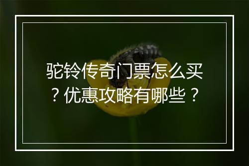 驼铃传奇门票怎么买？优惠攻略有哪些？